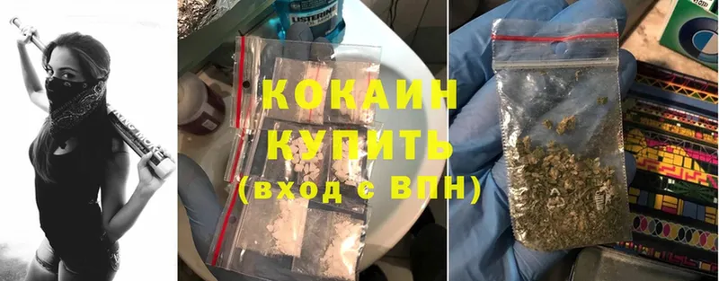 Купить закладку Курган Галлюциногенные грибы  Cocaine 